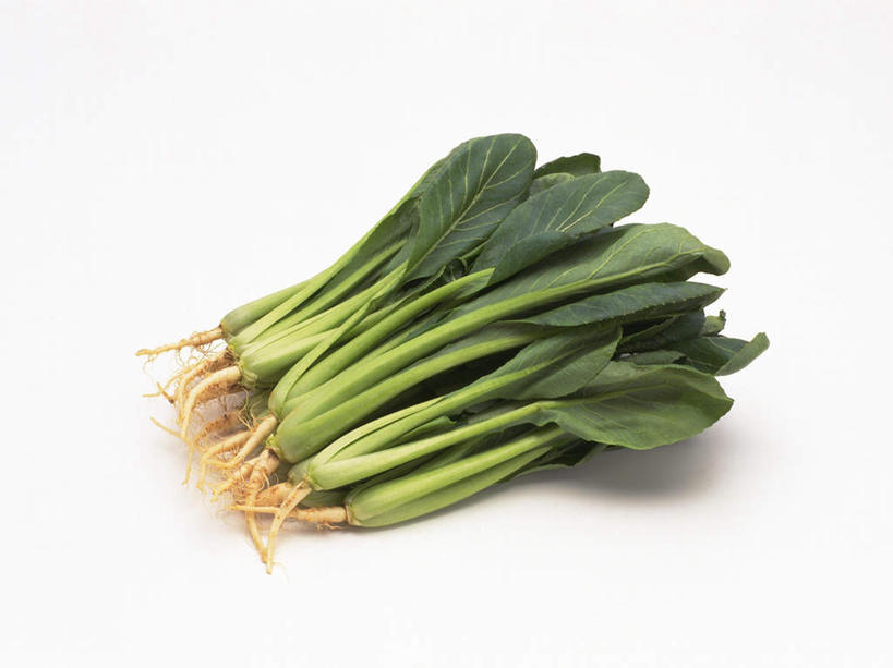 油菜新鲜采摘特写