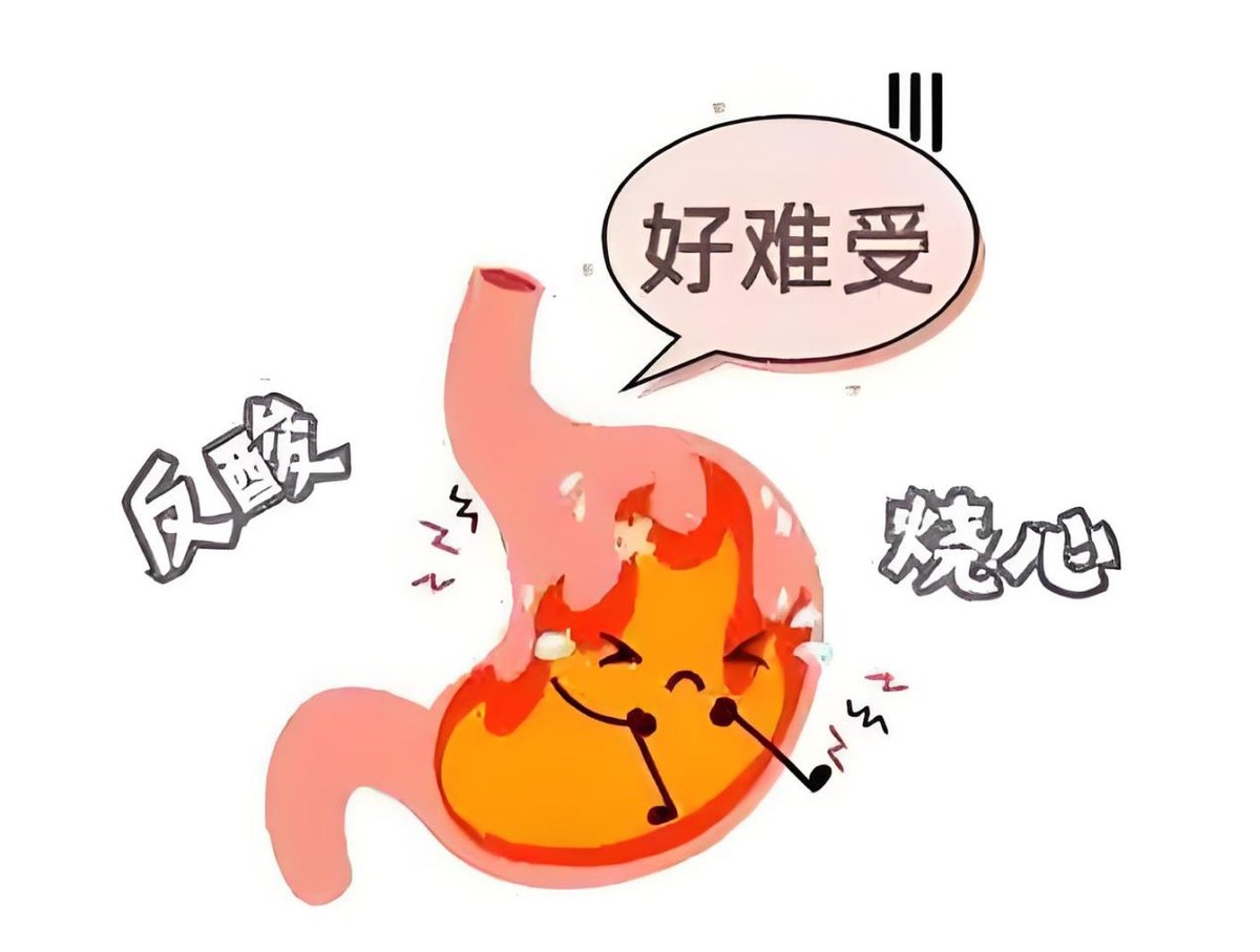 胃酸缺乏者与胰岛素抵抗者警示图标对比图:可视化提示两类特殊人群的风险机制,强调个体化应用必要性 胃酸缺乏者与胰岛素抵抗者警示图标对比图:左侧为胃镜下萎缩胃黏膜示意图+盐酸图标,右侧为血糖监测曲线图+胰岛素分子结构简图,双图并列置于浅灰底上