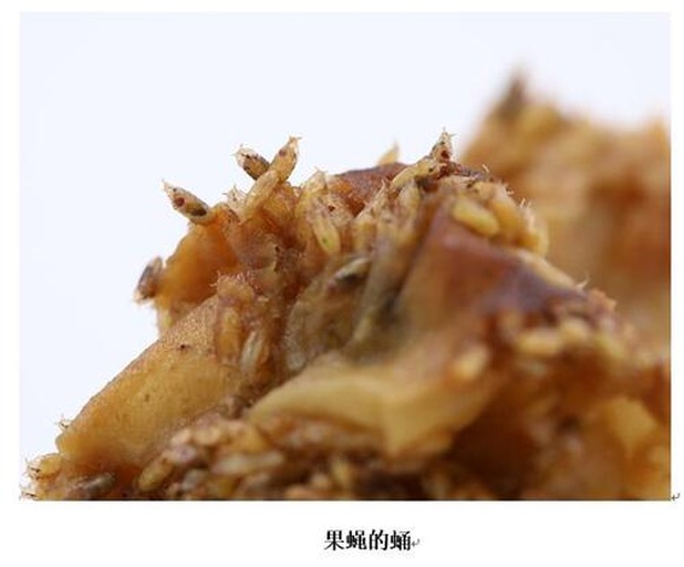 怀姜块茎解剖对比图：左侧为新鲜采挖怀姜整块（掌状分枝明显，主姜粗壮，子姜3–5枚环抱，表皮光滑带浅沟纹）；右侧为切开横断面特写（金黄色肉质致密均匀，维管束呈放射状细点，无木质化纤维束，油腺清晰可见）