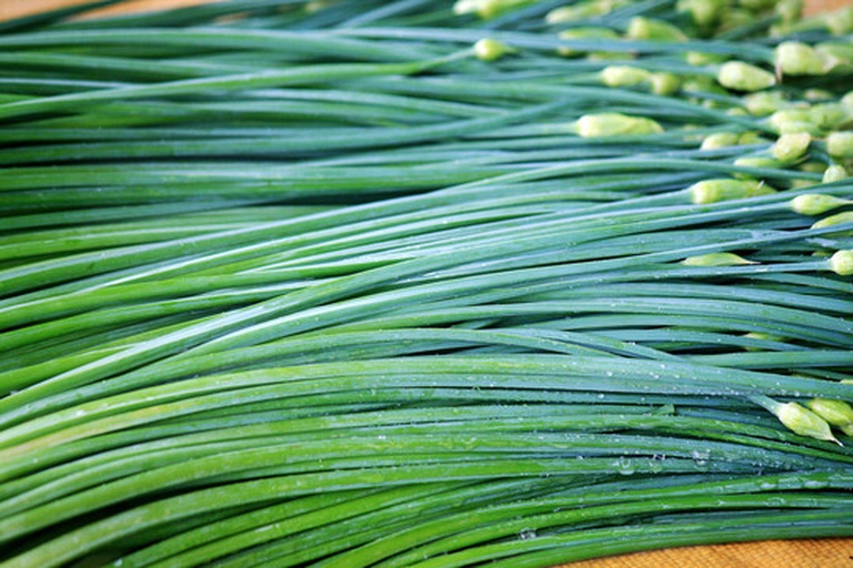 一个透明玻璃柜内并列摆放三组韭菜花:左侧为常温暴露组已发黄,中间为冷藏组保持鲜绿,右侧为冷冻解冻后稍软但未变色;柜外有温度计、保鲜膜、标签等工具,体现科学对比场景 家庭厨房中的韭菜花储存对比实验