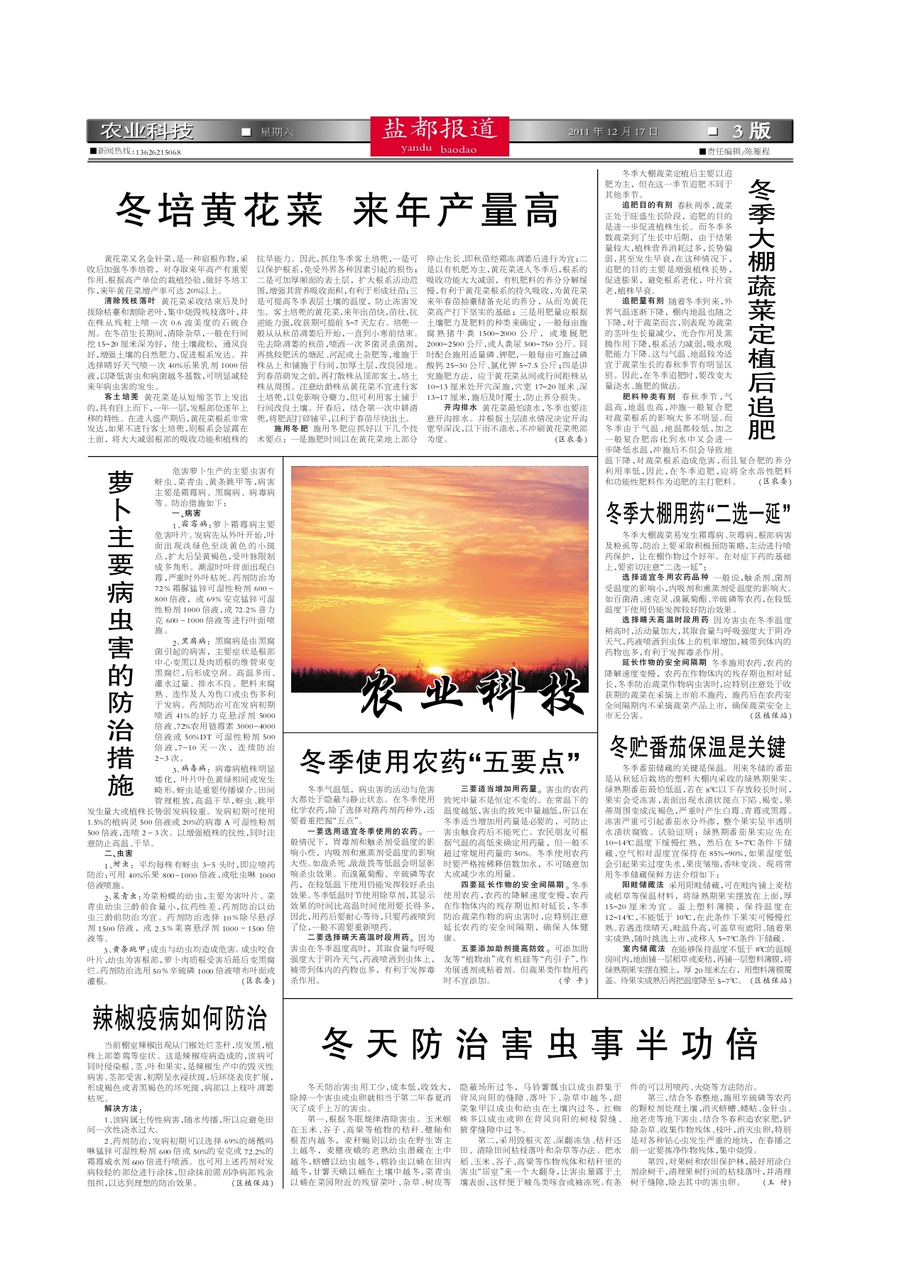 菜花标准化种植流程图