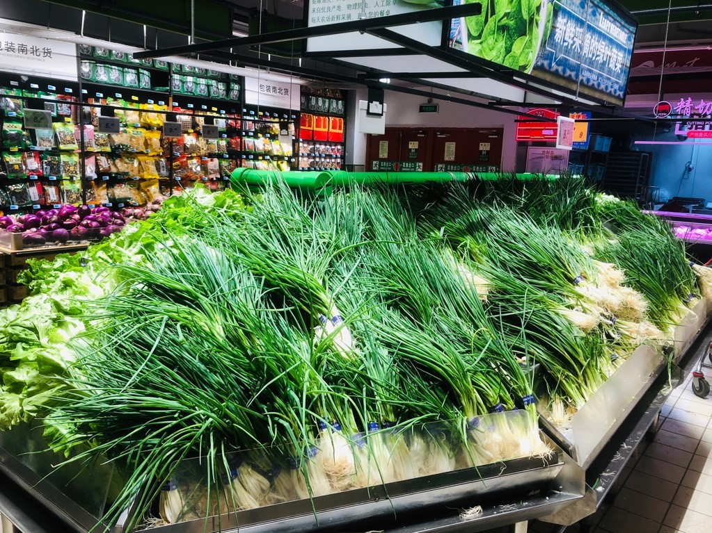 现代超市冷柜中陈列多种预包装葱属蔬菜,包括标有‘蒜苗’‘青蒜’‘小葱’‘韭菜’的塑料盒装产品,每个包装贴有二维码溯源标签和营养成分表,背景有清晰的价格牌和品类指示灯箱 超市货架上的预包装葱属蔬菜展示图