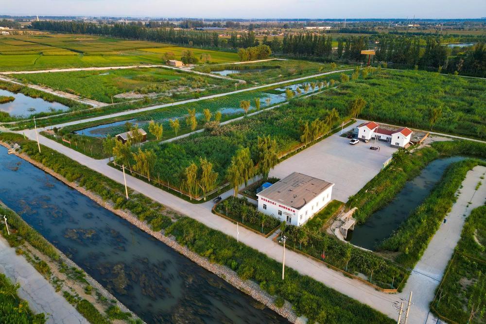 江苏省兴化市全景航拍图,展示密集的河网、湖泊与养殖塘口分布,背景可见农田与村落,体现典型的里下河水乡地貌特征 兴化市水域航拍图