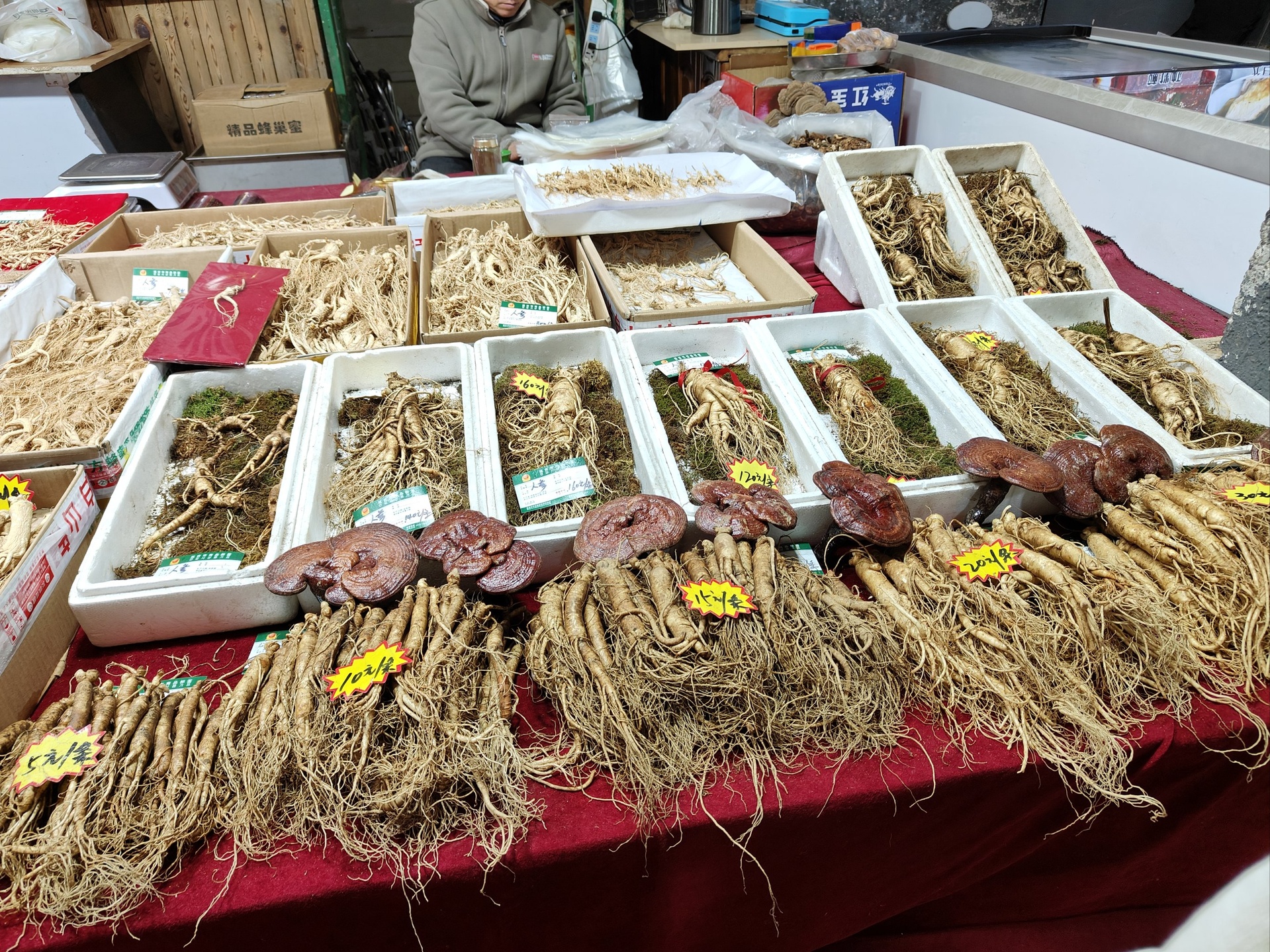 农贸市场摊位上摆放着多株整齐排列的鲜人参,摊主正在向顾客介绍,人参表面湿润,配有标签注明产地为吉林长白山,背景为其他中药材与包装盒,展现真实交易环境 鲜人参市场选购场景