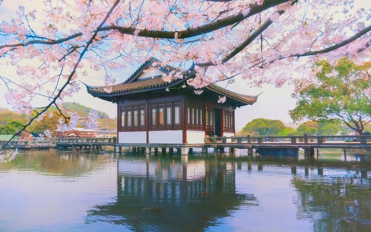 古典园林中的红梅与建筑融合景观