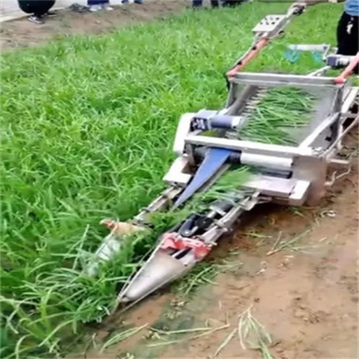 大型自走式大葱收获机正在田间作业,机器前端将整行大葱连根拔起,经过振动去土后整齐码放于后方运输车中,地面残留少量根叶,体现高效机械化采收场景 山东曹县机械化大葱 harvesting 现场
