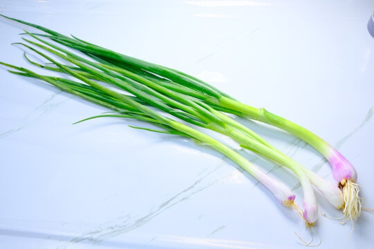 高清微距拍摄的新鲜小葱全株特写,突出葱白与葱叶交界处的紧实结构、叶片表面自然光泽及根部洁净状态 新鲜小葱特写:整株饱满直立,葱白短粗洁白、覆薄层浅褐色干膜,葱叶呈鲜亮深绿色,叶面蜡质层明显,无黄尖、无斑点、无折断痕迹