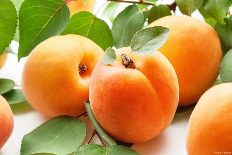 高清微距摄影:成熟鲜杏(Prunus armeniaca)果实特写,展示典型金黄底色、浅红晕染、细密绒毛及完整果形,强调其作为新鲜农产品的天然状态 鲜杏果实特写:5枚完整带绒毛金黄色成熟鲜杏平铺于竹编托盘上,果顶微红晕,表面有自然果粉,背景为浅木纹台面