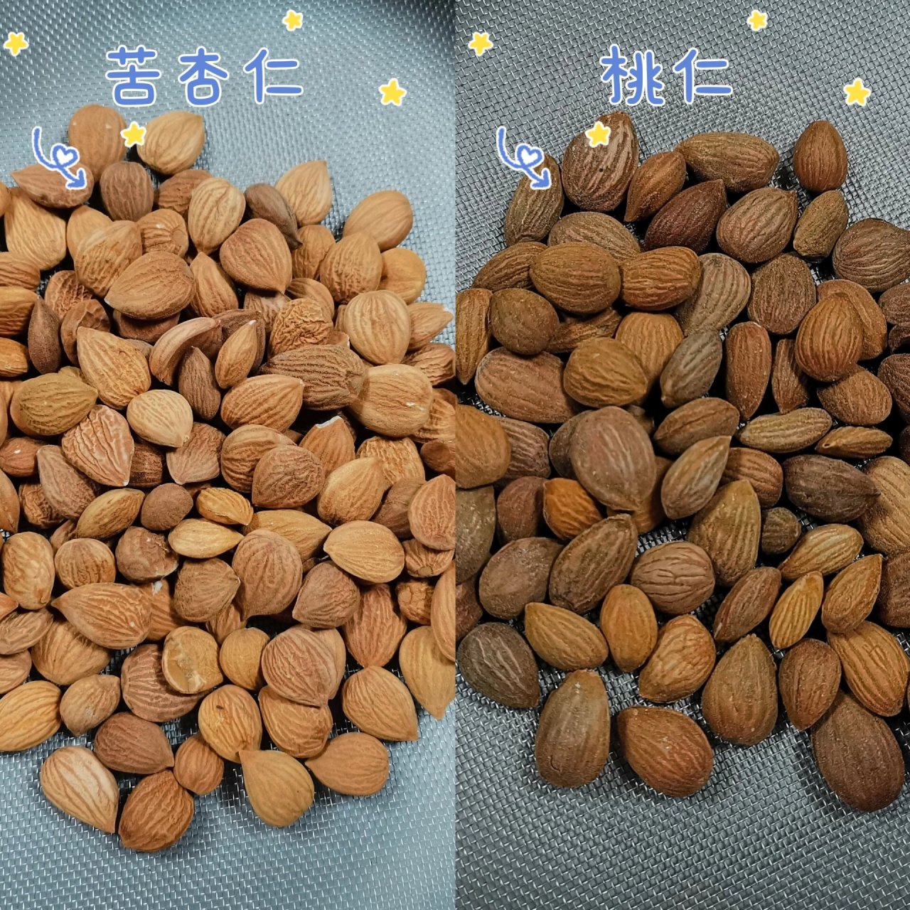 误食果核导致中毒机制示意图
