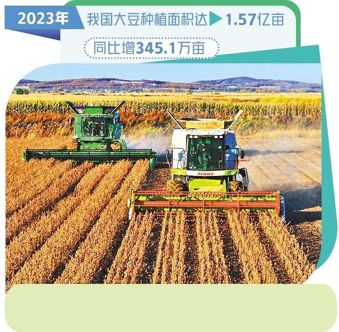 一张展示1990年代中国主要粮食作物年度平均价格走势的折线图,图中包含玉米、小麦和稻谷三种作物,时间跨度为1990年至2000年,重点标注了1998年玉米的平均收购价格约为每斤0.45元至0.55元之间 历史粮价图表展示