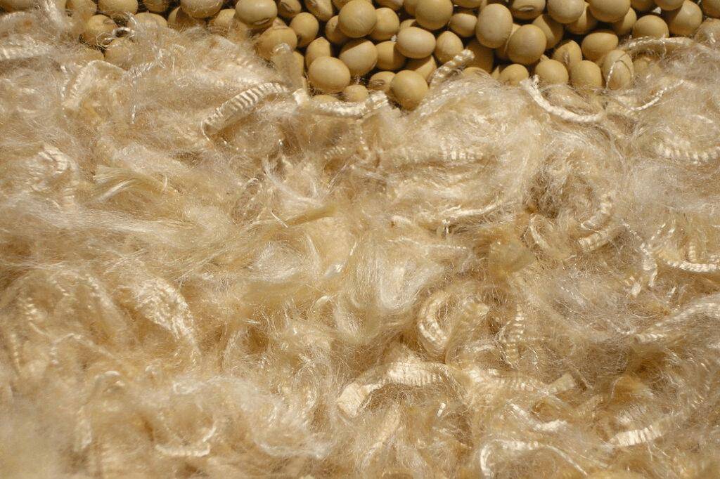 新鲜墨鱼与鱿鱼切片显微结构对比：左侧曼氏无针乌贼肌肉纤维粗壮致密（标尺50μm），右侧太平洋褶柔鱼纤维较细但胶原束清晰可见（箭头所示）