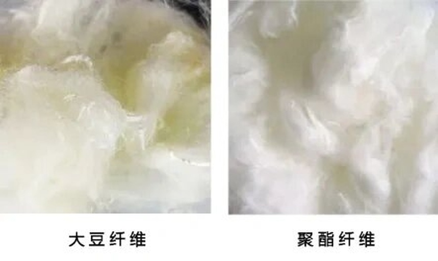 扫描电子显微镜(SEM)下的大豆棉与桑蚕丝纤维横纵切面图像对比,左侧为大豆棉,显示扁平带状结构与表面沟槽;右侧为蚕丝,呈现光滑圆润的三角形截面,标注放大倍数与尺寸标尺 显微结构对比图:大豆棉与蚕丝纤维电镜图像
