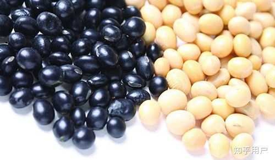 牛奶与黑豆对比图