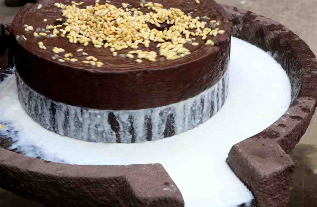 传统石磨磨制豆浆场景