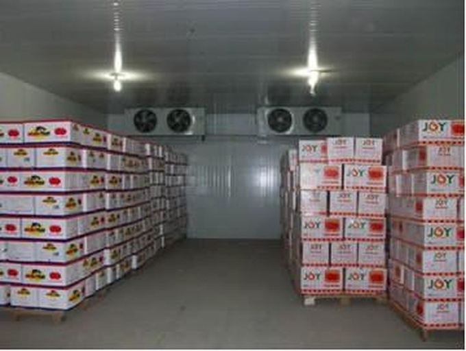 冷链运输中的金枕头榴莲包装箱