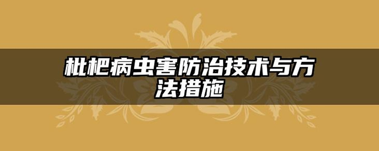 一幅信息图表,展示南果梨病害田间诊断的五步流程:第一步‘定期巡查’配图农民在果园行走;第二步‘高清拍摄’显示手机拍摄果实特写;第三步‘图像比对’呈现平板电脑上并列显示田间照片与标准病害图谱;第四步‘专家会诊’为视频通话界面连接农技专家;第五步‘精准施药’展示背负式喷雾器对准病株喷洒。每个步骤用箭头连接,构成闭环管理流程 南果梨病害诊断流程示意图