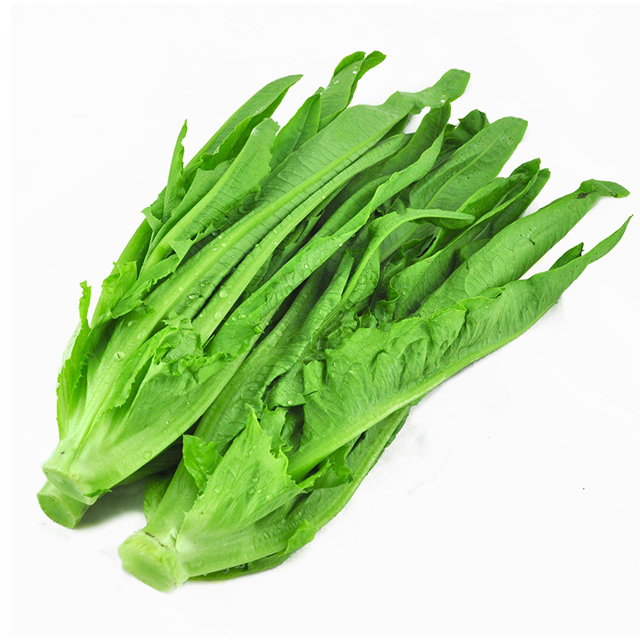 分步实景图:左上为带露水新鲜尖叶莴笋叶清水冲洗特写;中为小苏打水浸泡过程(可见细微气泡附着叶面);右下为沸水焯烫45秒后捞出沥水状态,叶片保持翠绿挺括,无萎蔫褐变 尖叶莴笋叶厨房处理流程图