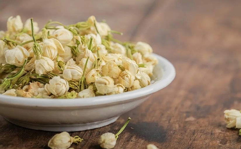 凉山造型油松嫩芽与松针茶成品展示