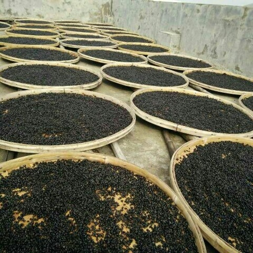 晾晒柿饼的传统工艺场景