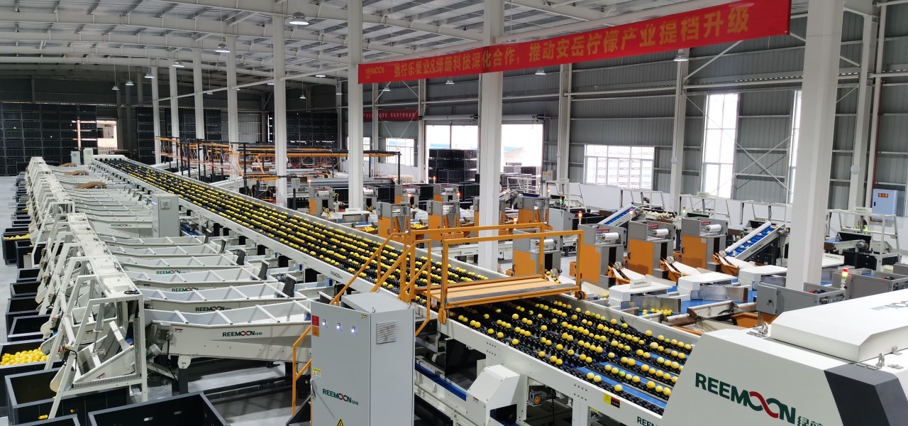 一座现代化的工业级柠檬酸钾生产车间内部全景图,包含不锈钢反应釜阵列、自动结晶罐、离心过滤机和包装流水线,工人穿着洁净服操作控制系统,环境整洁,管道标识清晰,体现自动化与GMP标准 现代化柠檬酸钾生产车间全景