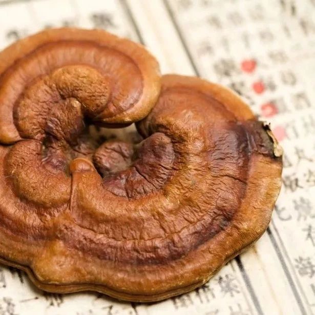 如意灵芝图艺术纹样