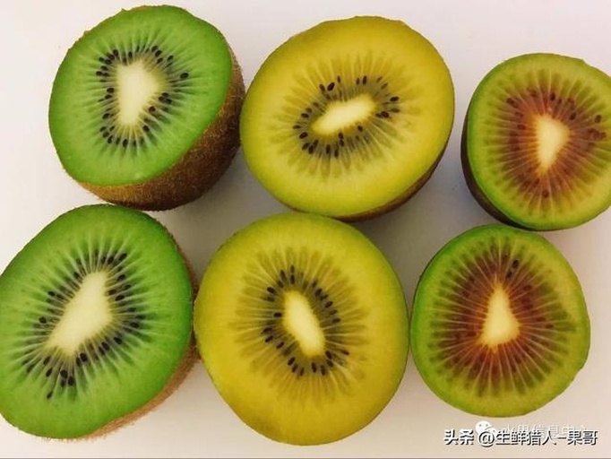 猕猴桃果实特写对比图