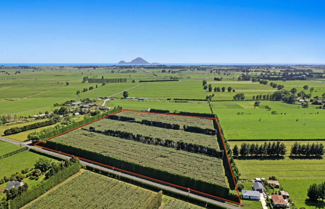 美都西瓜在美国四大主产区地理分布示意图