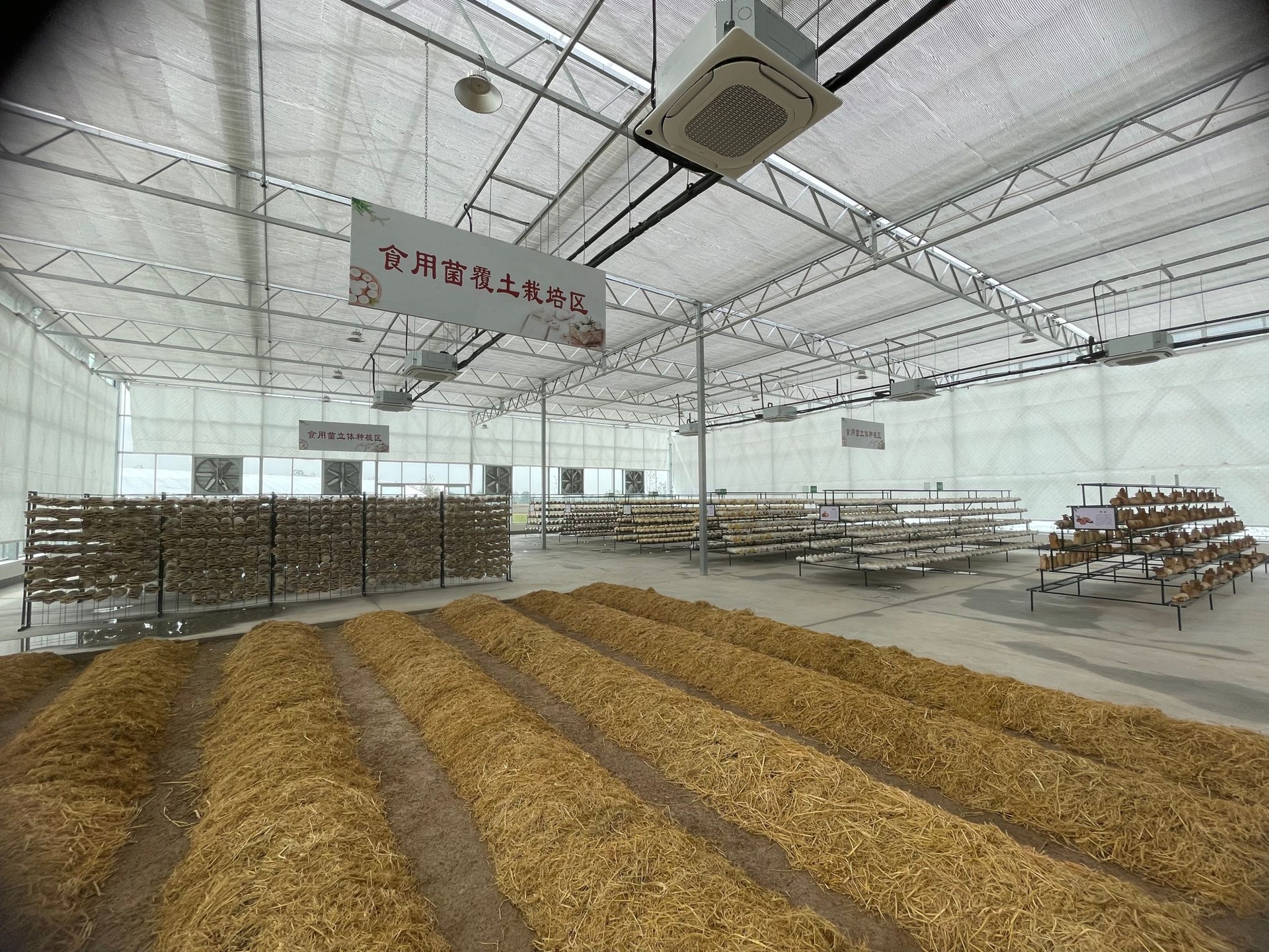 现代化菌菇栽培车间