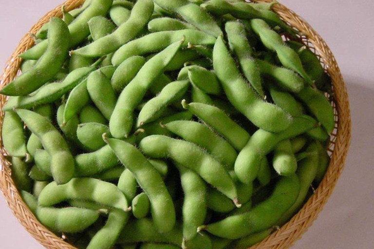 毛豆采收场景