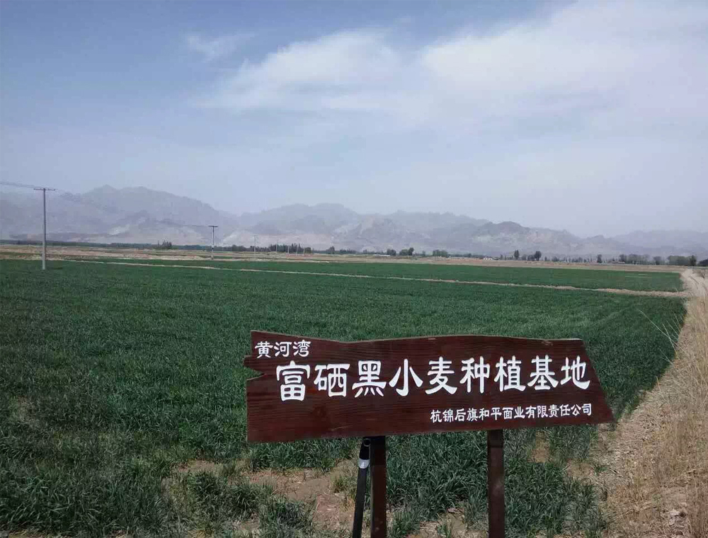 洪江市紫色页岩土壤剖面与沅水河谷地貌图