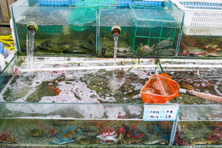 一辆标有“鲜活水产品专运”的冷藏货车停靠在装卸区,车身印有中英文双语标识及温控系统显示屏,显示车内温度为4℃,工作人员正将装有活蟹的泡沫箱搬入车厢,准备发往机场出口 大闸蟹国际冷链运输车