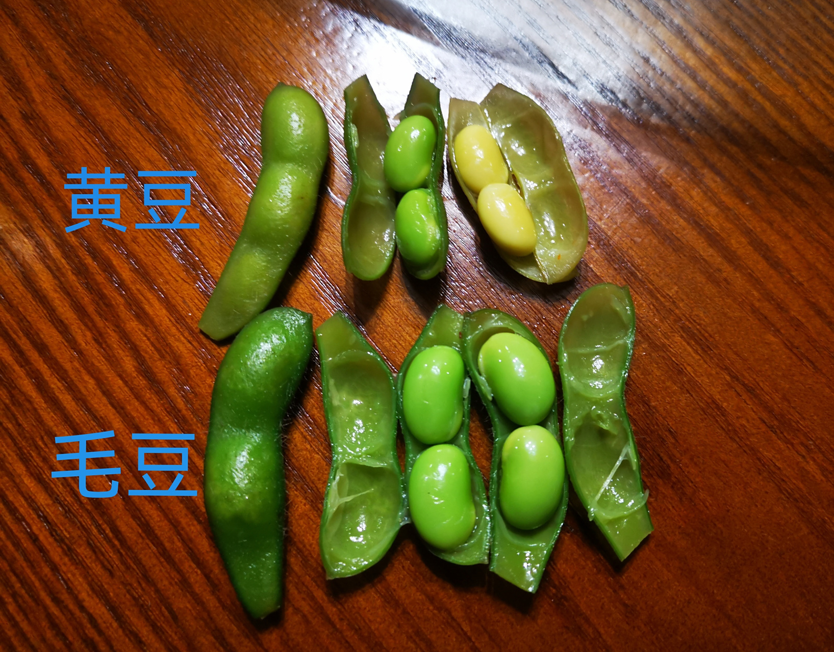 毛豆与黄豆对比图