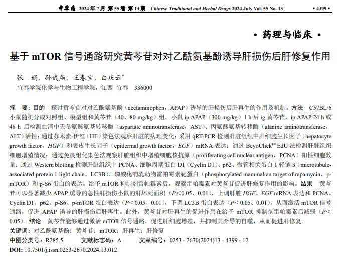 实验室场景下显微镜视野中的肝细胞对比图:左侧为经毒素处理的受损肝细胞,细胞肿胀、核固缩;右侧为添加黄芩提取物后的肝细胞,形态完整,结构清晰,体现其保护效应 黄芩提取物在肝细胞保护实验中的显微图像示意