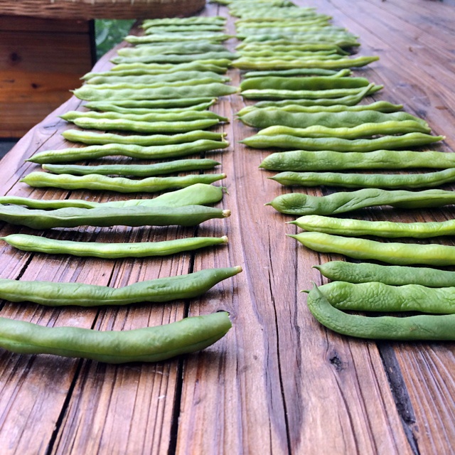 阳光洒在阳台上的藤编篮子里装满新鲜毛豆，旁边放着手工剥豆教程纸条