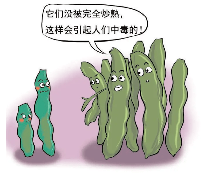 医学插图:展示四季豆中毒典型症状——面部苍白、冷汗、腹部蜷缩、呕吐物残留,背景标注实验室检测到高浓度植物血凝素(PHA>120μg/g) 四季豆中毒临床症状示意图:患者呕吐、腹痛、脱水体征