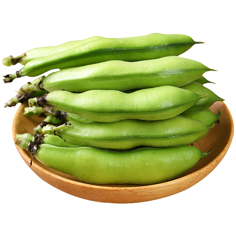 展示蚕豆与米饭、蔬菜、肉类搭配的健康餐盘布局 蚕豆与其他主食和蔬菜搭配的餐盘示意图