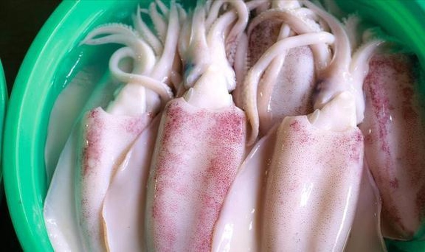 龙珠串原材料特写