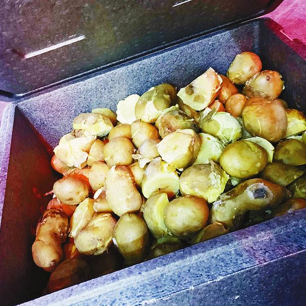 熟土豆分装冷冻过程示意图