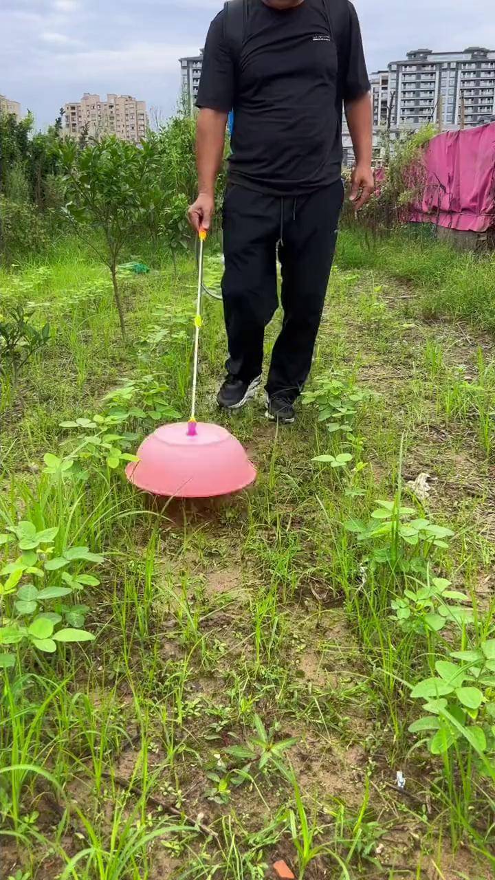 一名农民正在农田中使用背负式喷雾器对打碗花进行定向喷雾作业,喷雾器软管连接扇形喷头,药液呈雾状喷出,覆盖在打碗花叶片上,背景可见成片杂草 农田中使用背负式喷雾器喷洒除草剂