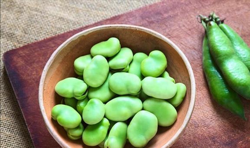 蚕豆泡发前后对比图