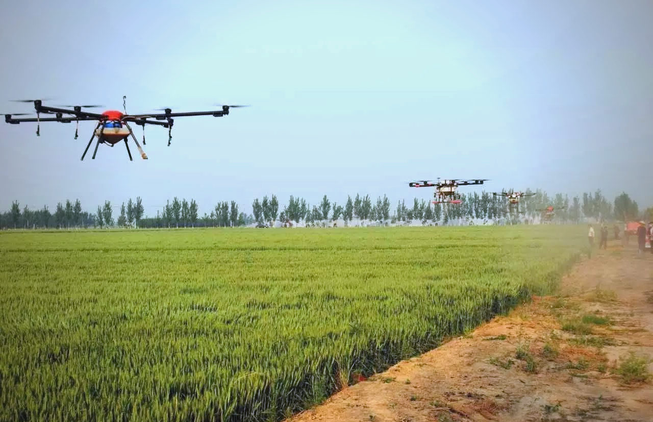 无人机在麦田上空喷洒作业