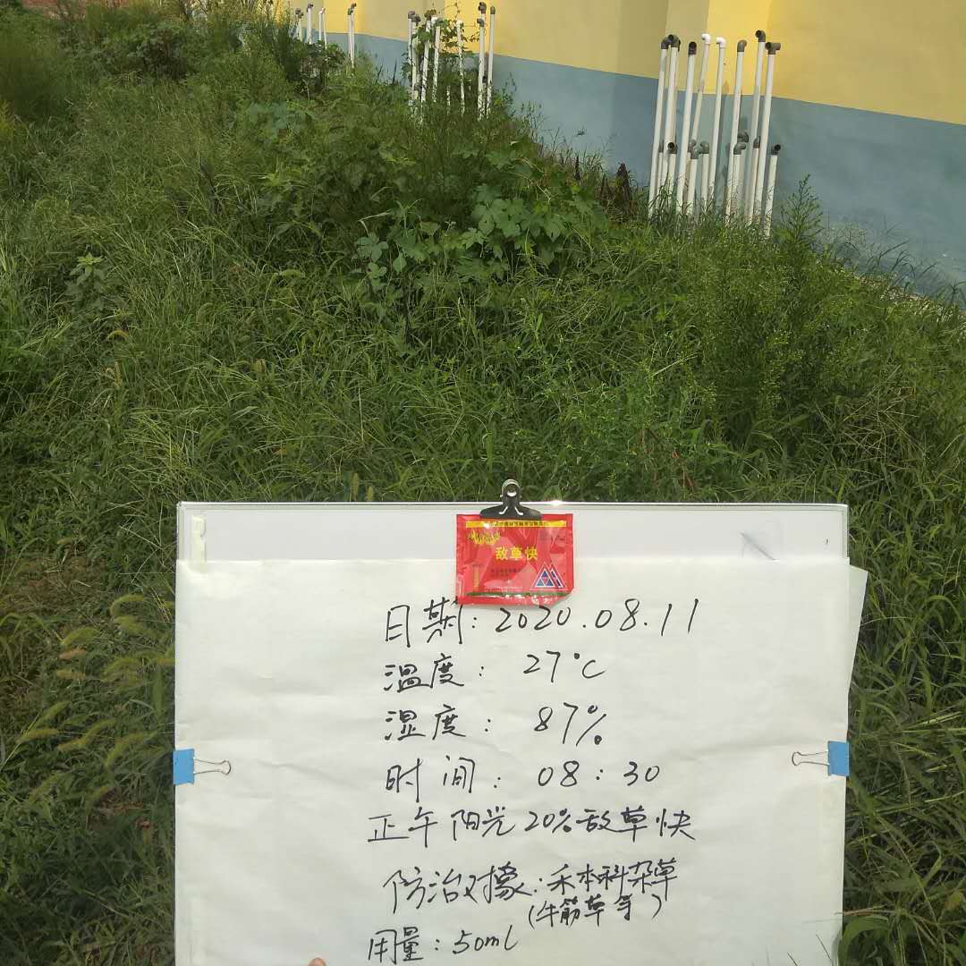 旱稻田除草剂施用时间节点示意图