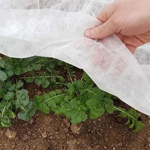 荷兰豆秋季遮阳管理示意图