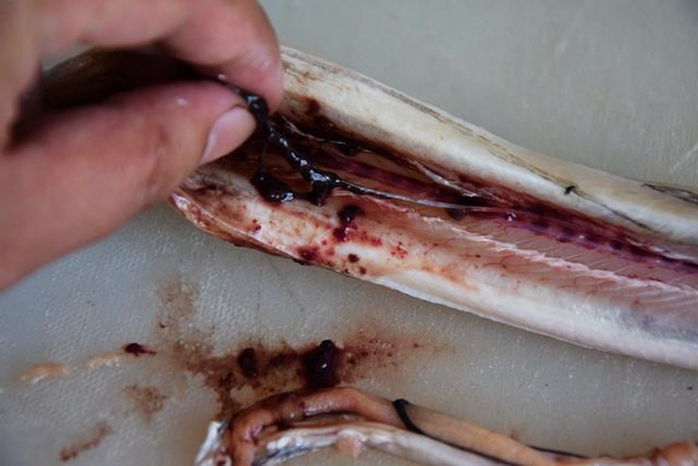 去除内脏操作图