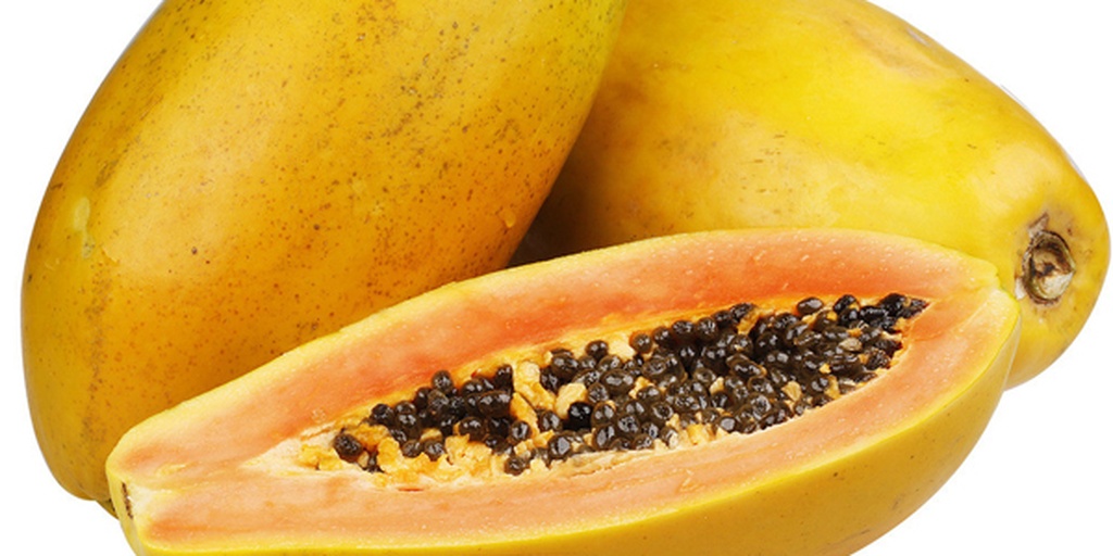 番木瓜果实剖面特写：金黄色果肉、黑色种子环状排列、乳白色乳管清晰可见