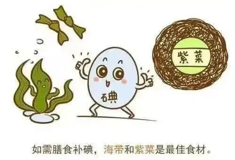 裙带菜与海带营养成分柱状对比图