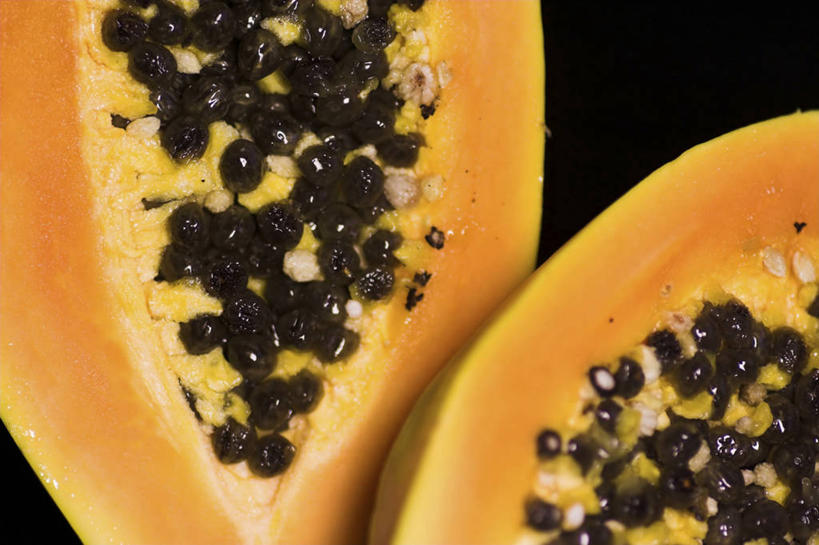 木瓜剖面展示内部小木瓜