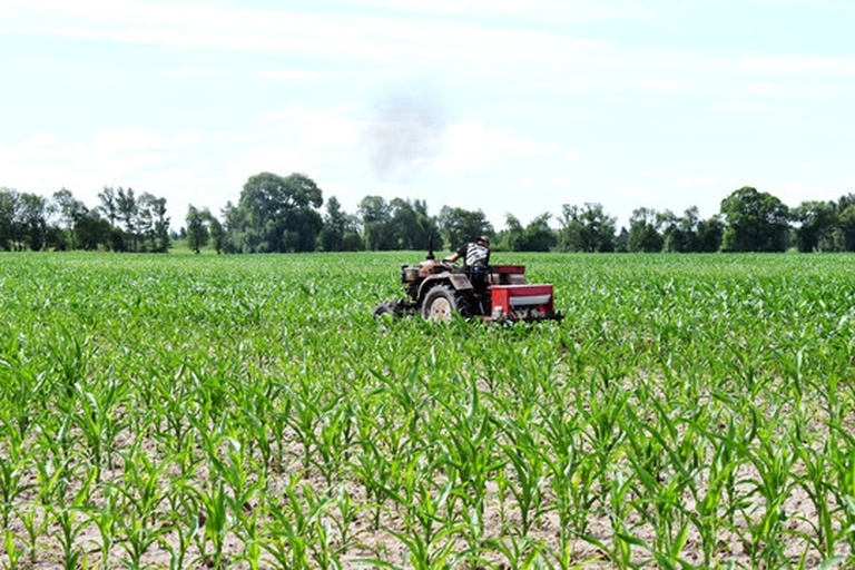 美国中西部机械化玉米种植场景