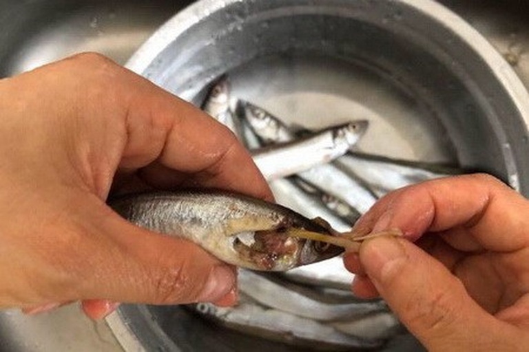 多宝鱼清洗与去内脏过程