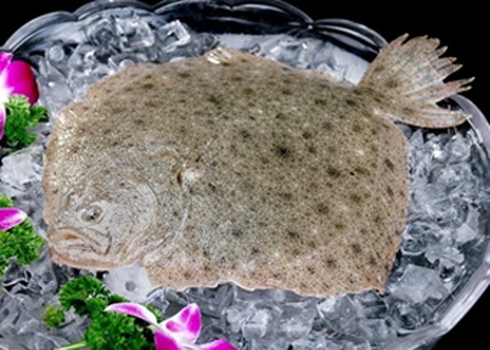 市场中多宝鱼售卖场景